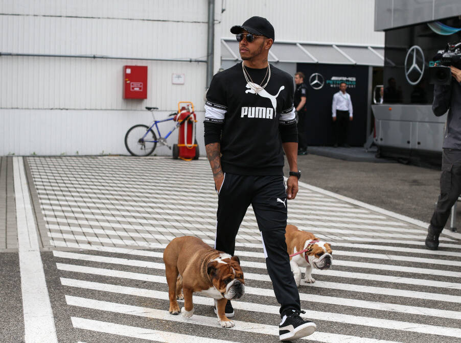 Foto zur News: Delikatesse in Fernost: Lewis Hamilton kämpft für Hunderechte in China