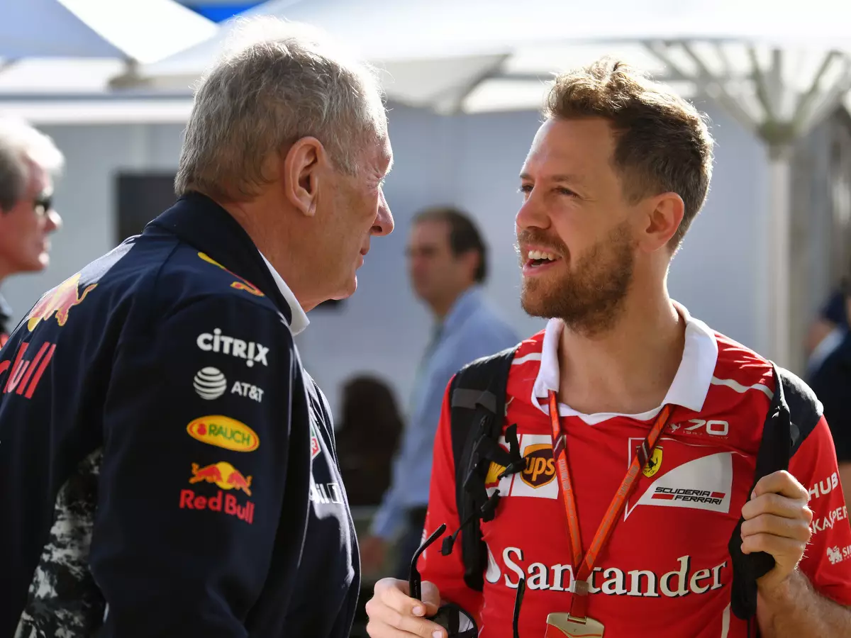 Helmut Marko, Sebastian Vettel Foto zur News: Sebastian Vettel: Glaube nicht, dass Red Bull eine Option für mich war