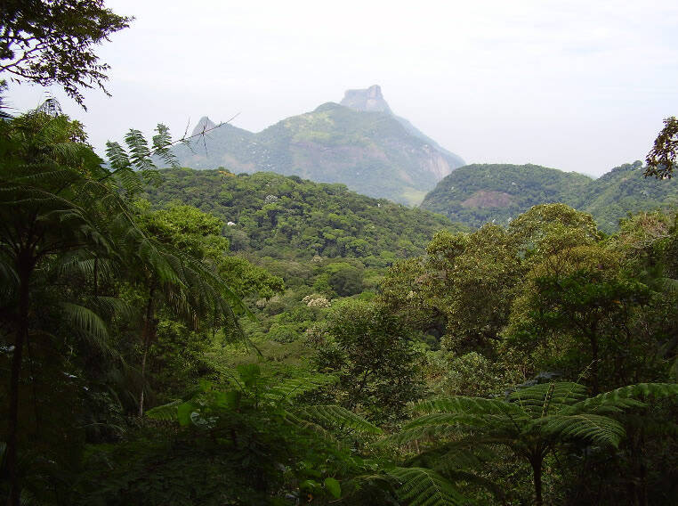 Foto zur News: Rio Motorsport verspricht Umweltschützern 700.000 neue Bäume