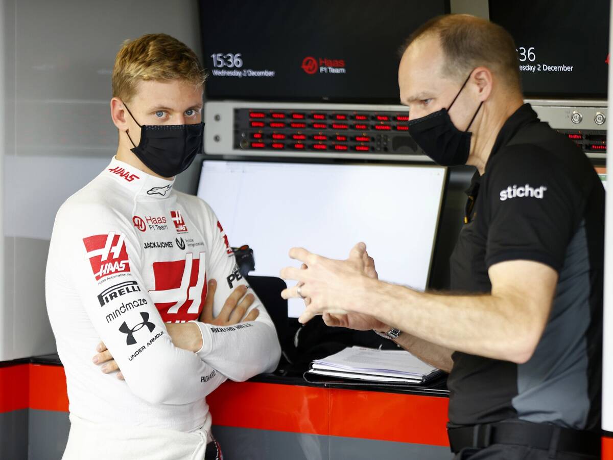 Foto zur News: Ralf Schumacher über Mick: "Wir reden von Haas, nicht Mercedes"