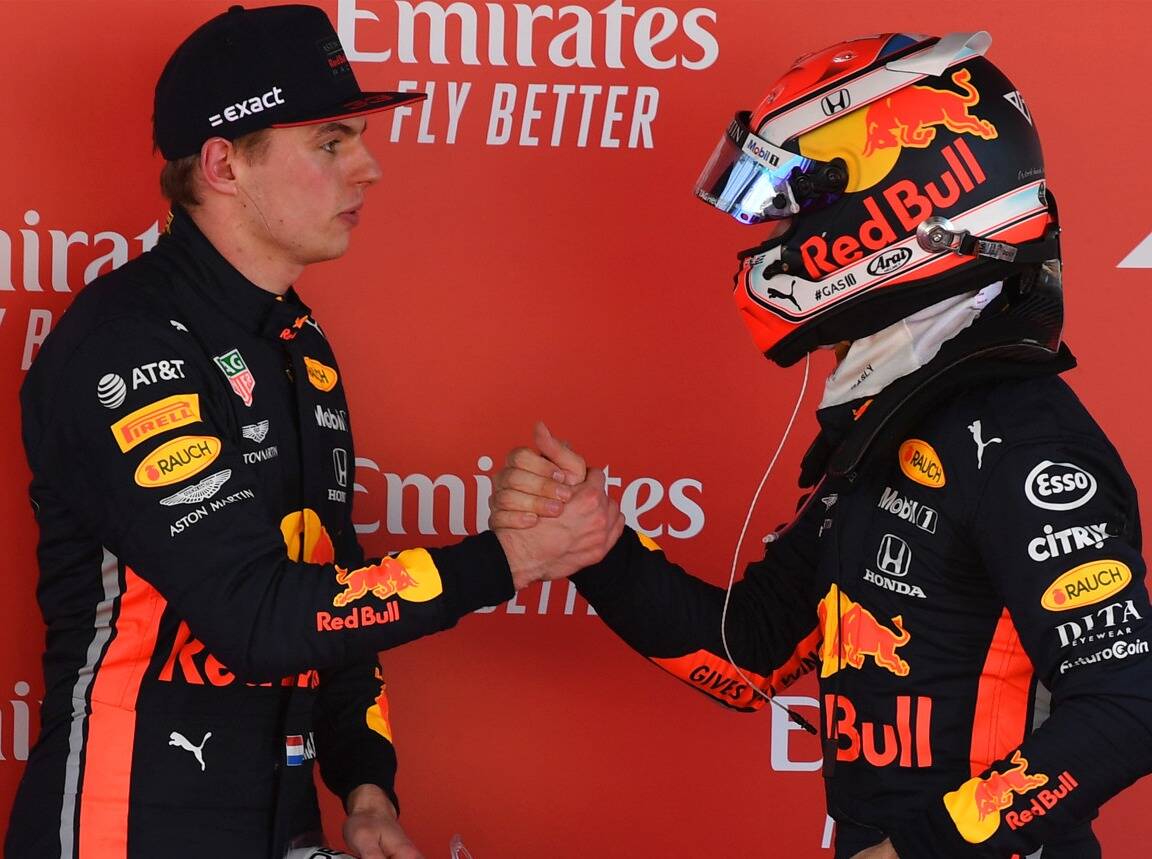 Foto zur News: Max Verstappen: Pierre Gasly war bei Red Bull zu ungeduldig