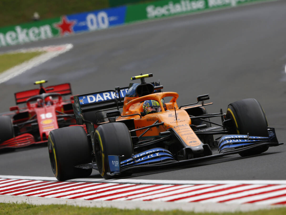 Foto zur News: Lando Norris: Ferrari als Team nicht viel besser als McLaren