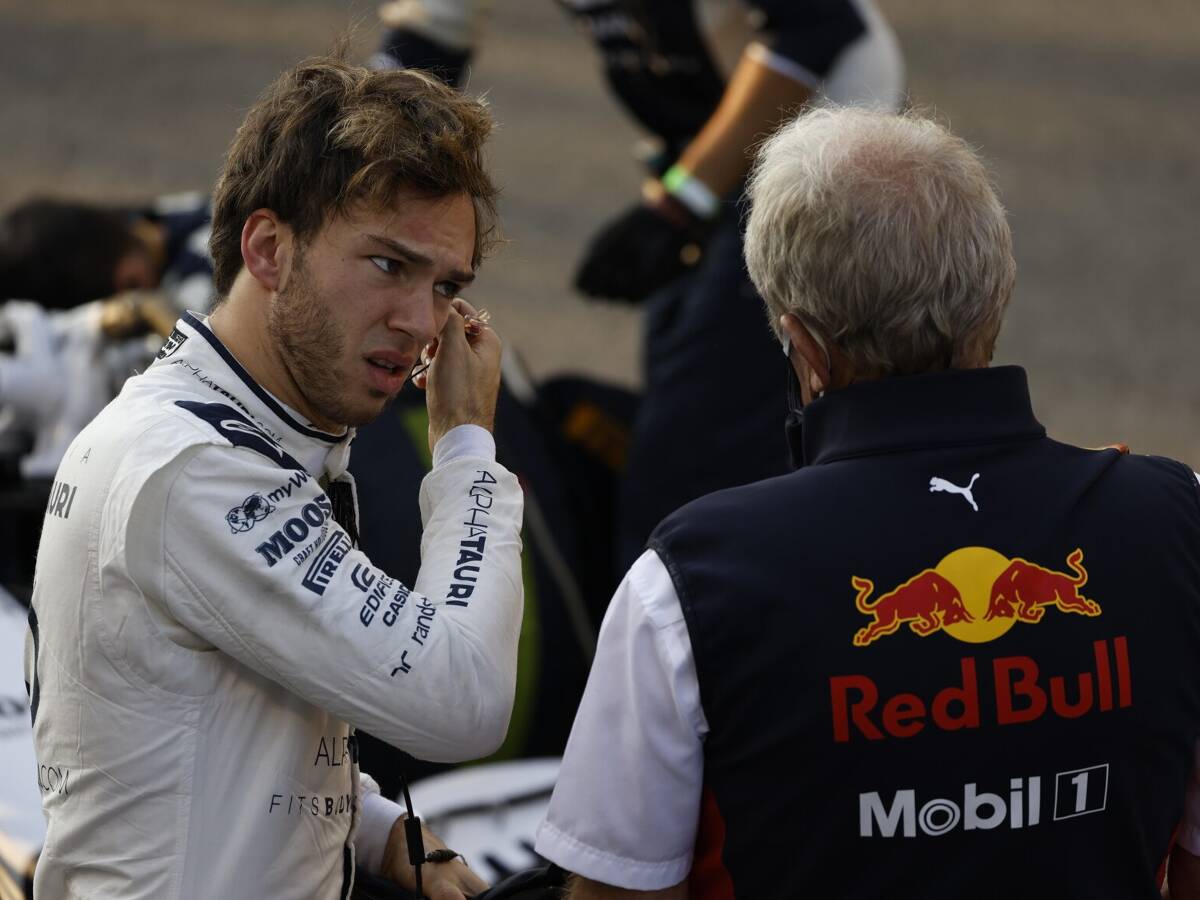 Foto zur News: Johnny Herbert: Kann Pierre Gasly 2022 Sergio Perez bei Red Bull ablösen?