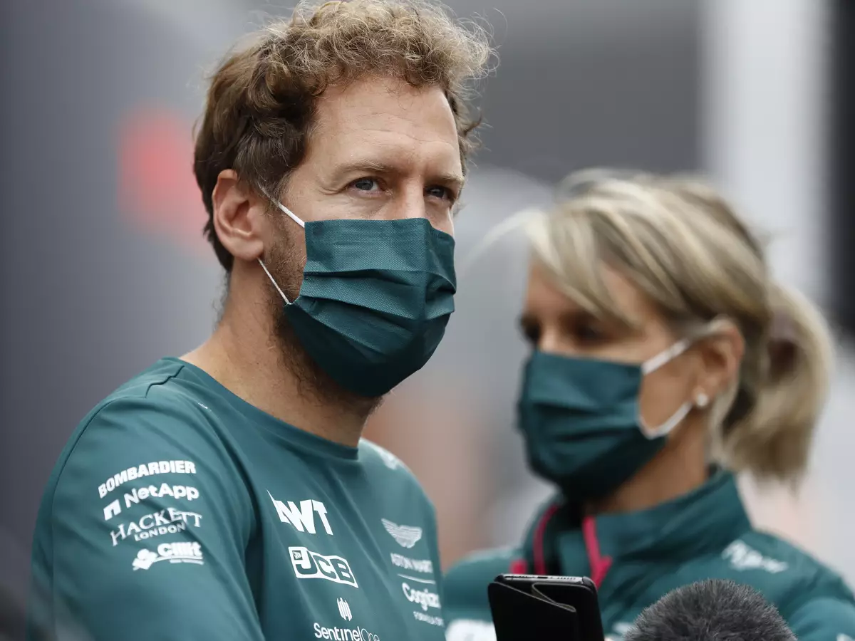 Foto zur News: Sebastian Vettel: Was die Formel 1 für die Umwelt tun kann