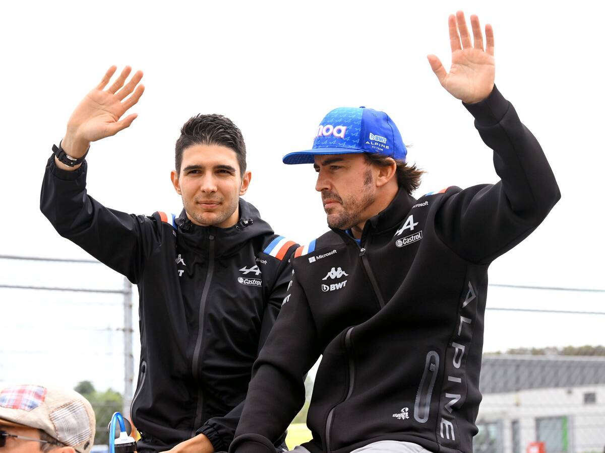 Foto zur News: Ocon: Nur Hamilton war als Alonso-Teamkollege besser als ich
