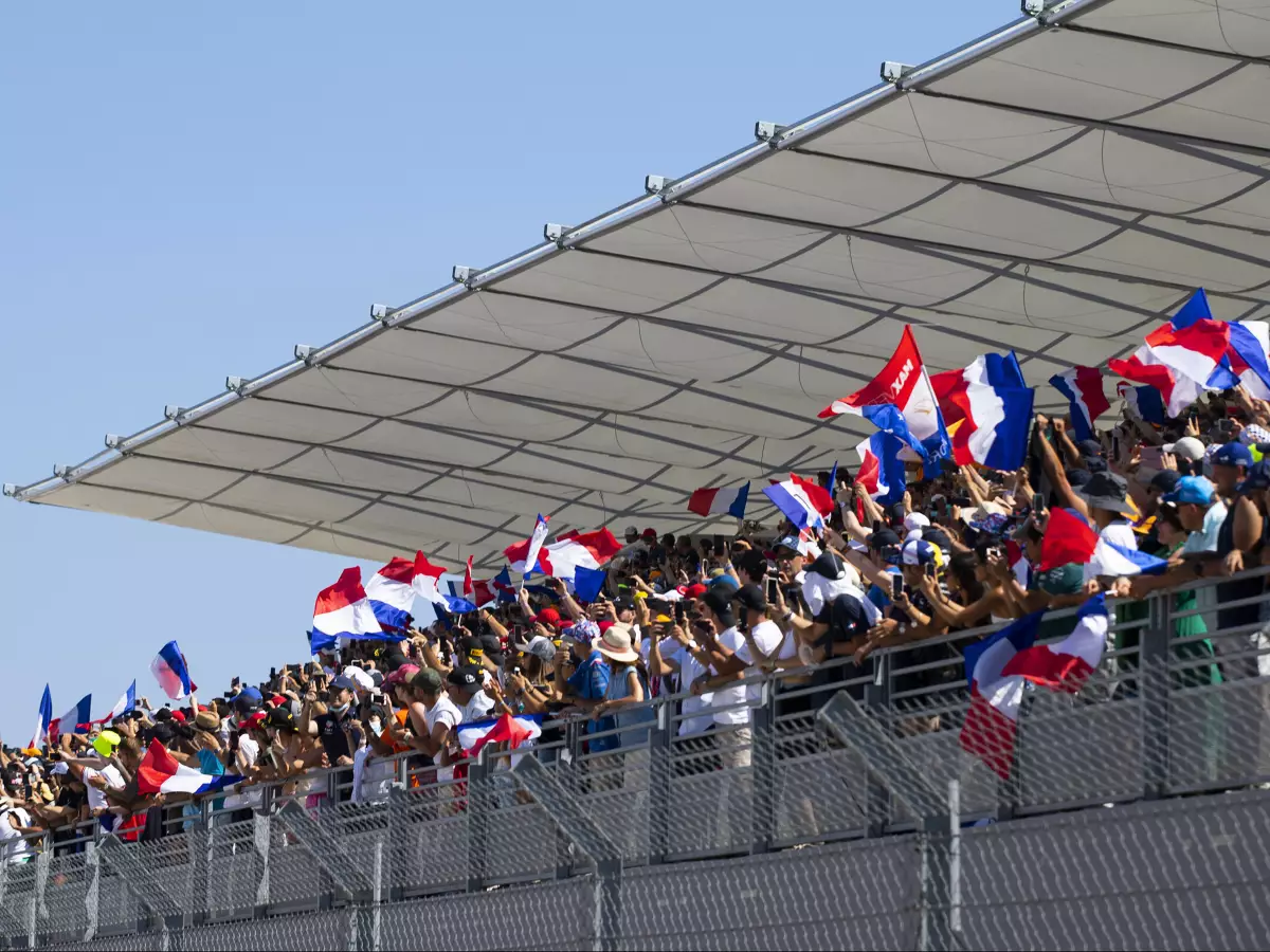 Foto zur News: Nach Aus des Frankreich-GP: Jean Alesi rechnet mit französischer Politik ab