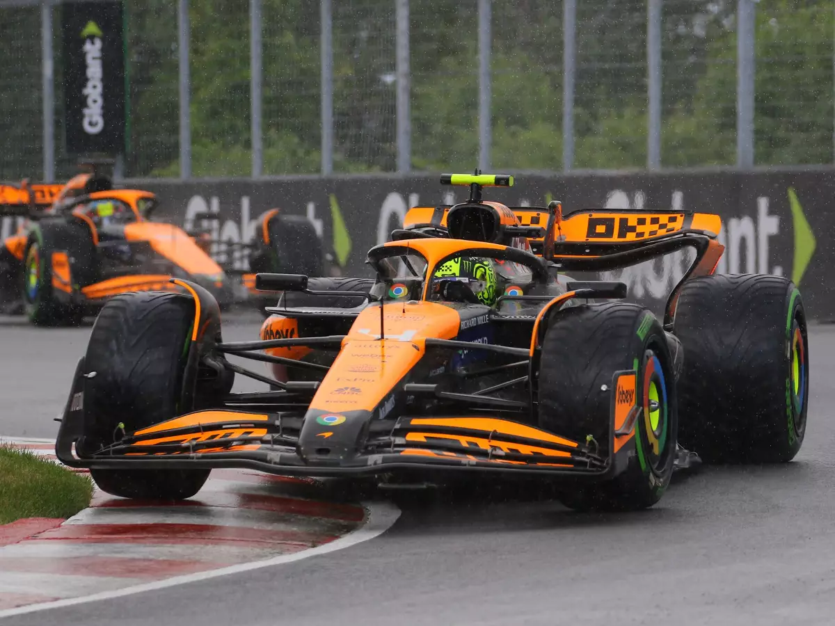 Foto zur News: Lando Norris: "Wir haben halt zwei Fahrer ..."