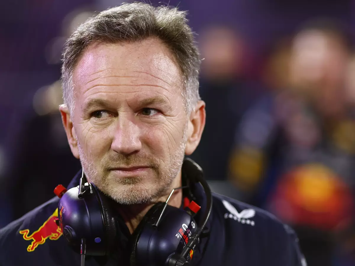 Christian Horner Foto zur News: Nach Wadenbeißer-Attacke: Horners Hunde heißen Bernie und Flavio!