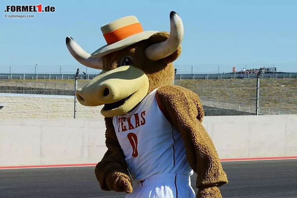 Foto zur News: Maskottchen Texas Austin