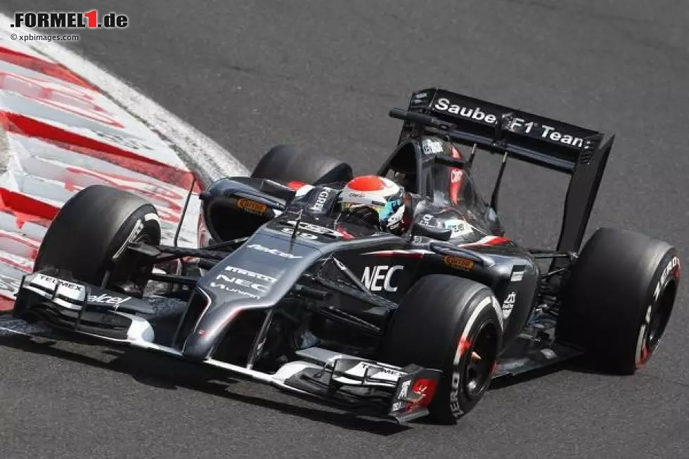 Foto zur News: Adrian Sutil