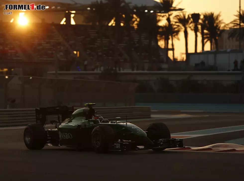 Foto zur News: Will Stevens