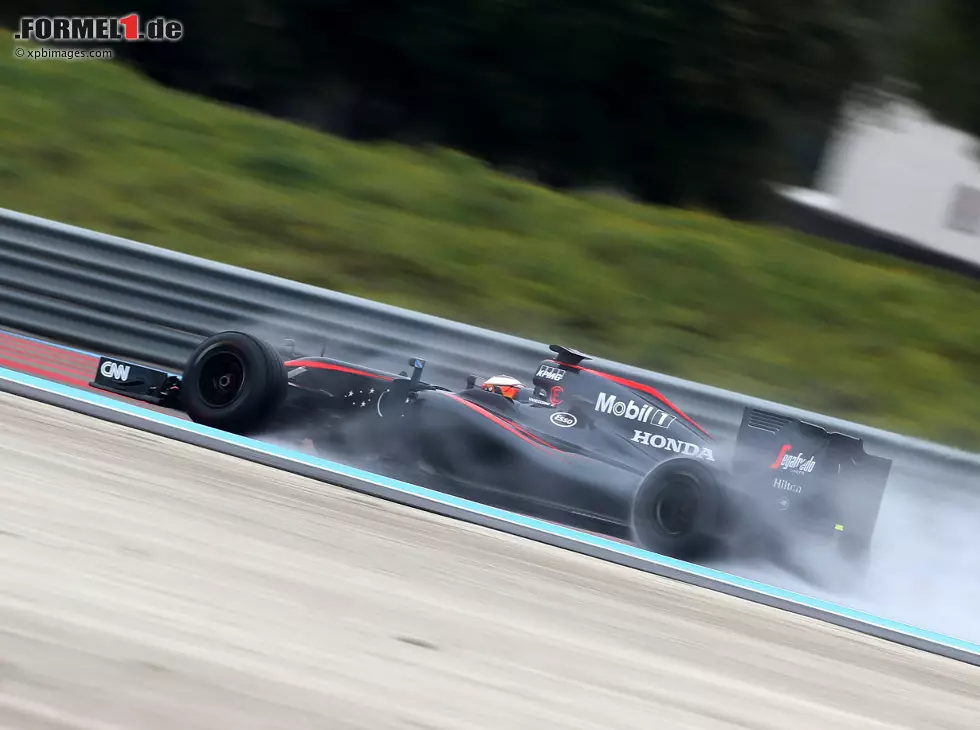 Foto zur News: Stoffel Vandoorne