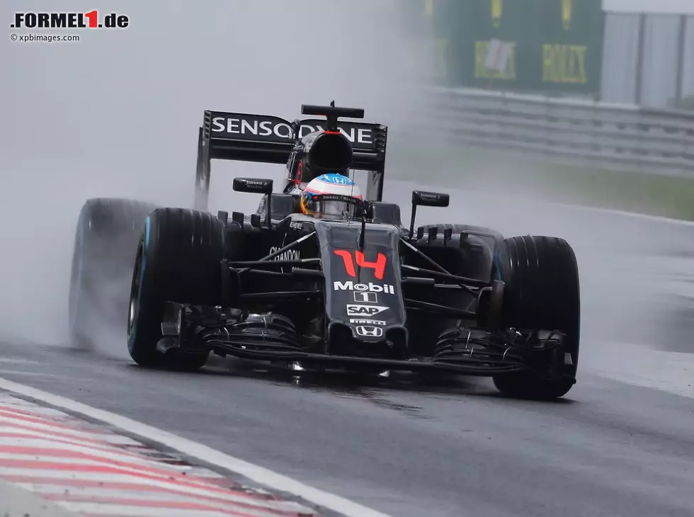 Foto zur News: Fernando Alonso