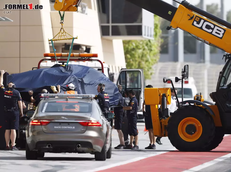 Foto zur News: Daniel Ricciardo