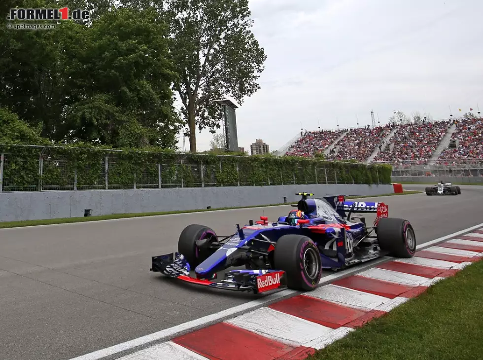 Foto zur News: Carlos Sainz