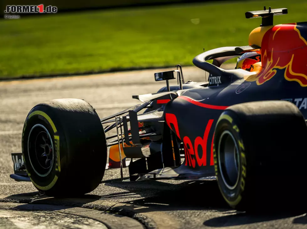 Foto zur News: Daniel Ricciardo