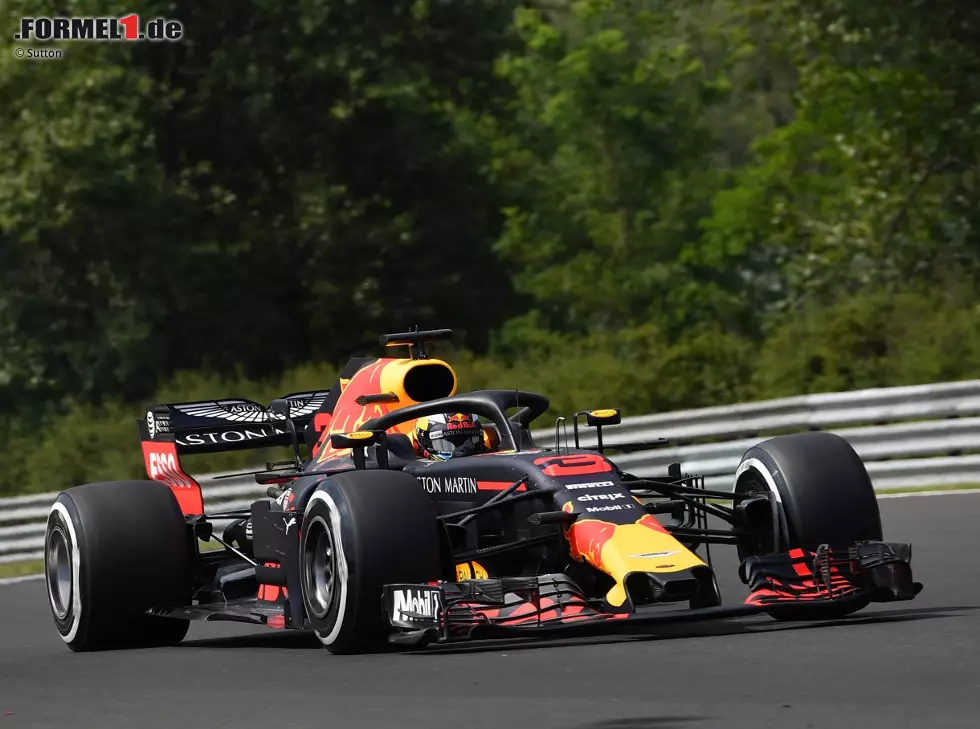 Daniel Ricciardo Foto zur News: Daniel Ricciardo