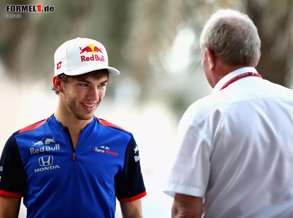 Foto zur News: Pierre Gasly, Helmut Marko