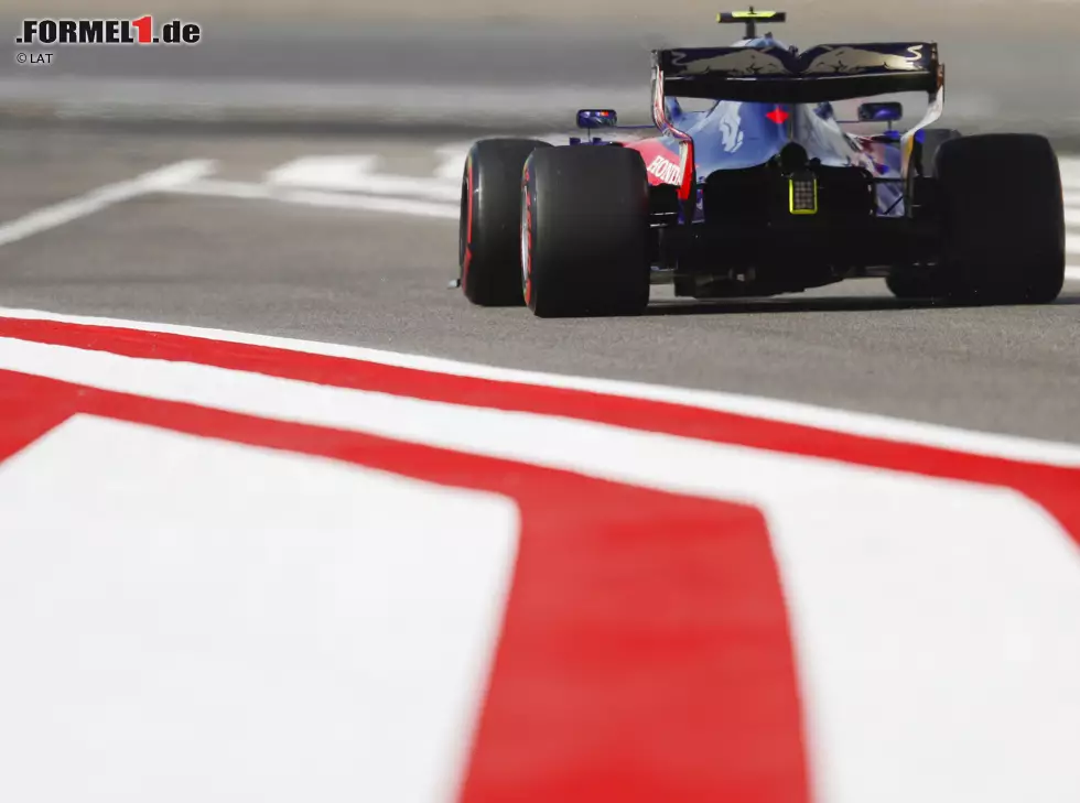 Foto zur News: Alexander Albon