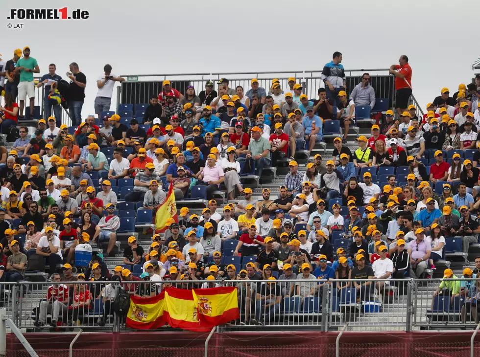 Foto zur News: Fans von Carlos Sainz