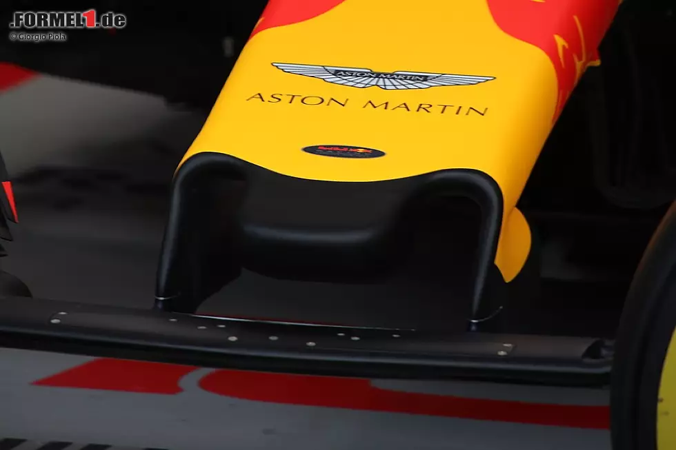 Foto zur News: Red-Bull-Nase