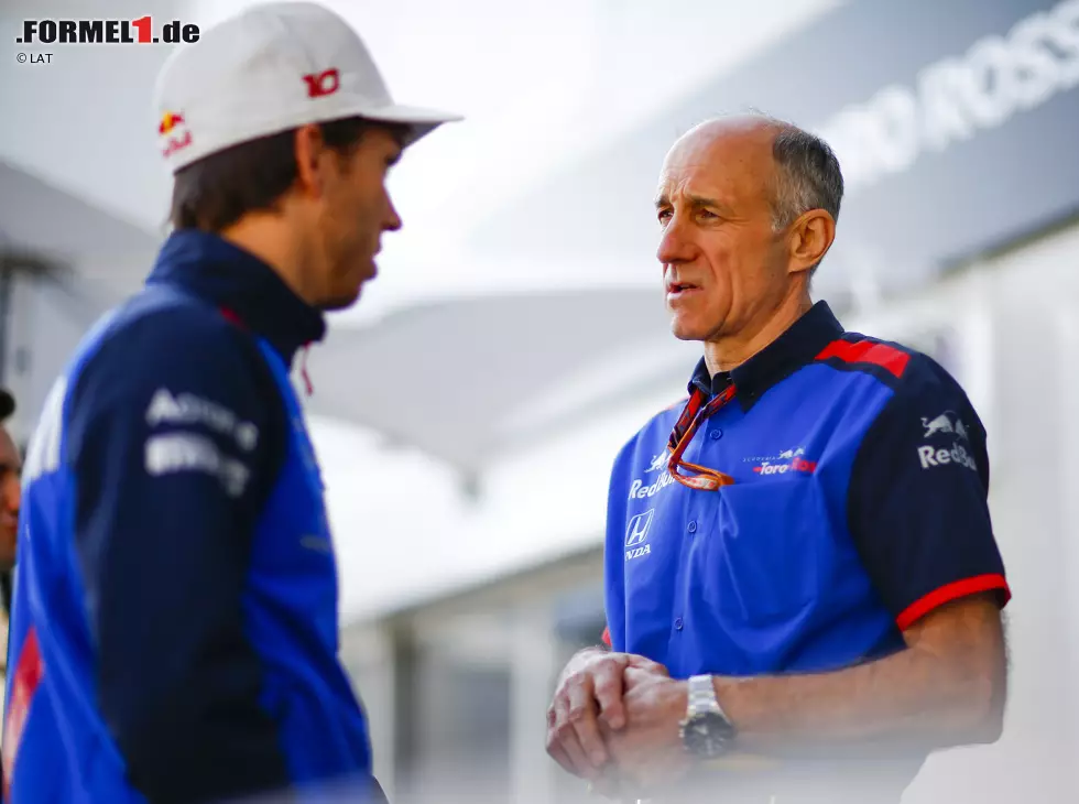 Foto zur News: Pierre Gasly, Franz Tost