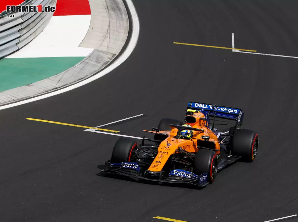 Foto zur News: Lando Norris