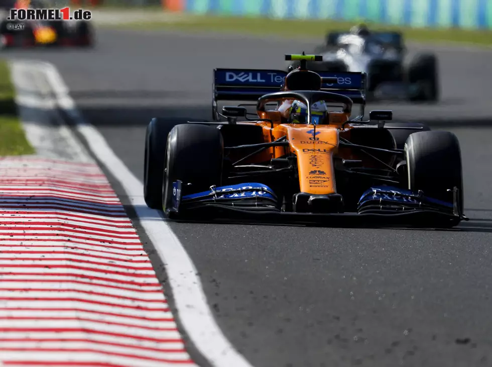 Foto zur News: Lando Norris