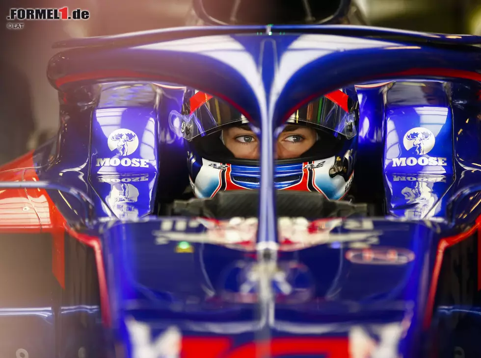 Foto zur News: Pierre Gasly