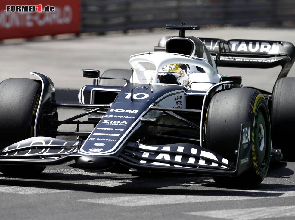 Pierre Gasly Foto zur News: Pierre Gasly