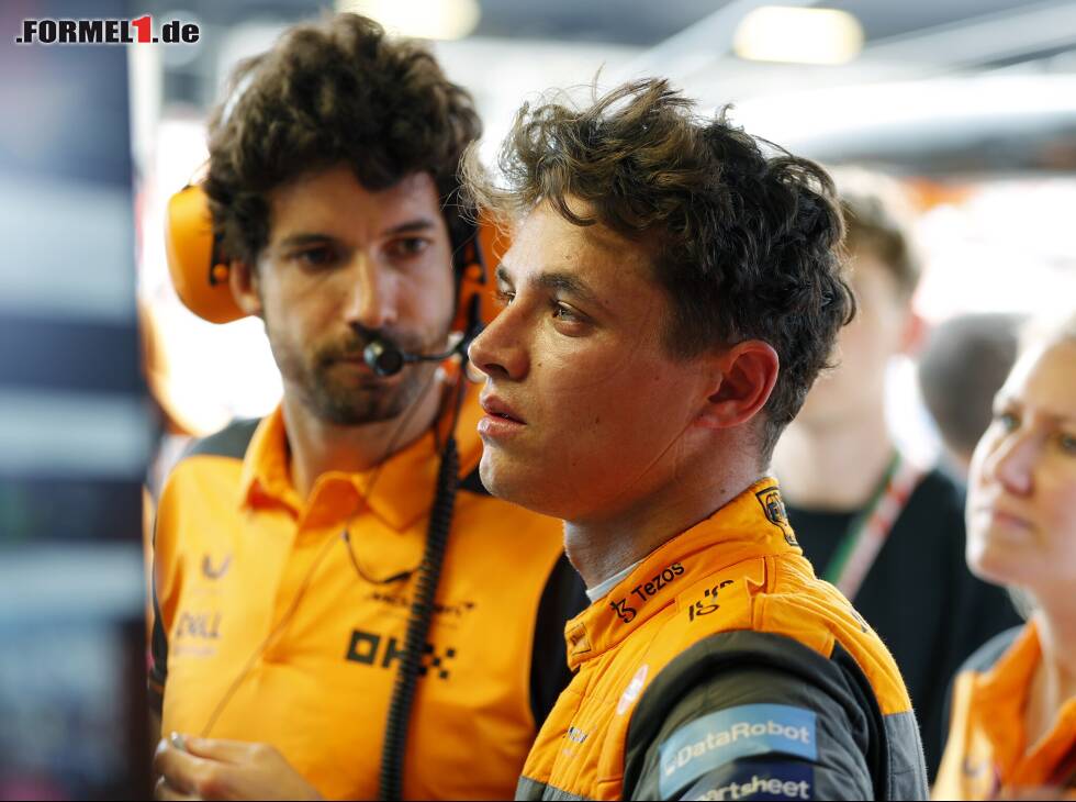 Foto zur News: Lando Norris