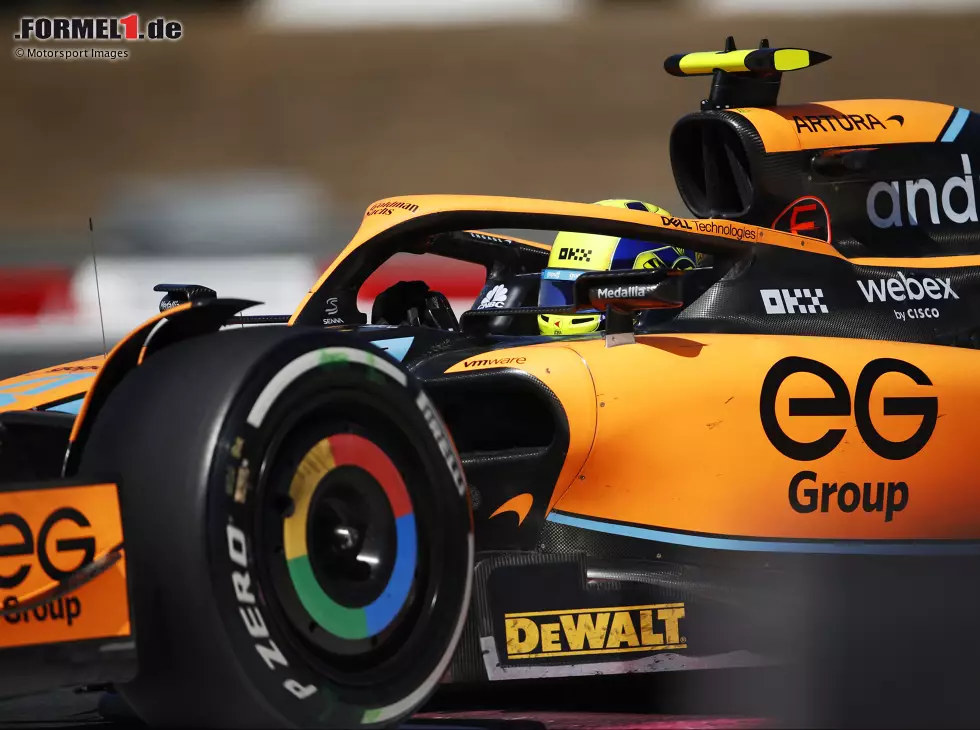 Foto zur News: Lando Norris