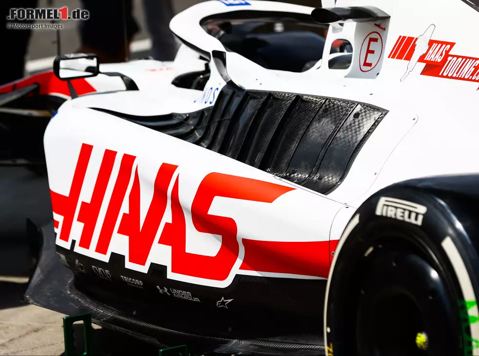 Foto zur News: Kevin Magnussen