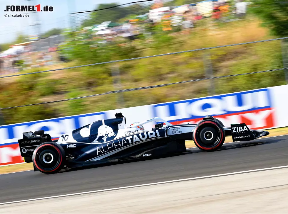 Foto zur News: Pierre Gasly