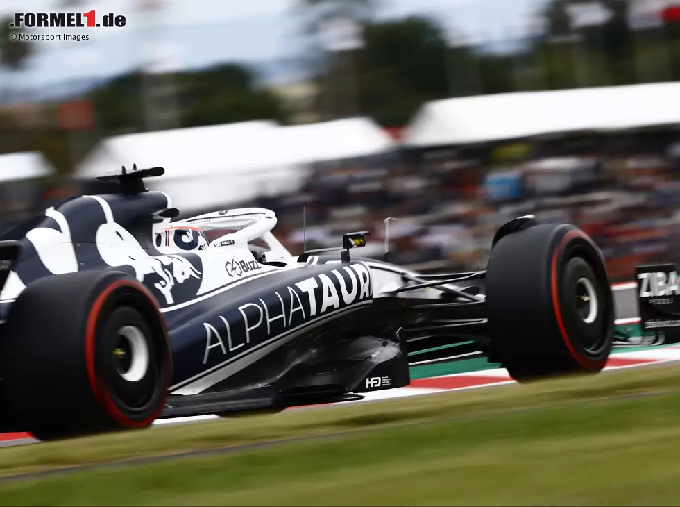 Foto zur News: Pierre Gasly