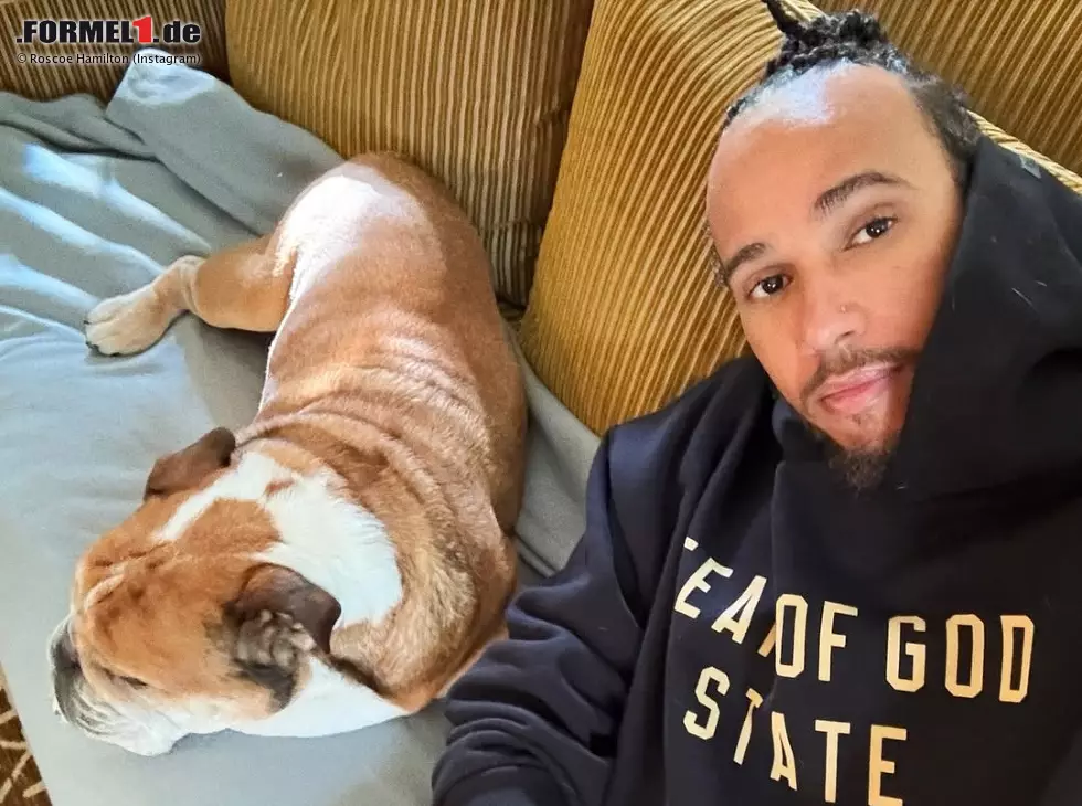 Roscoe und Lewis Hamilton Foto zur News: Roscoe und Lewis Hamilton
