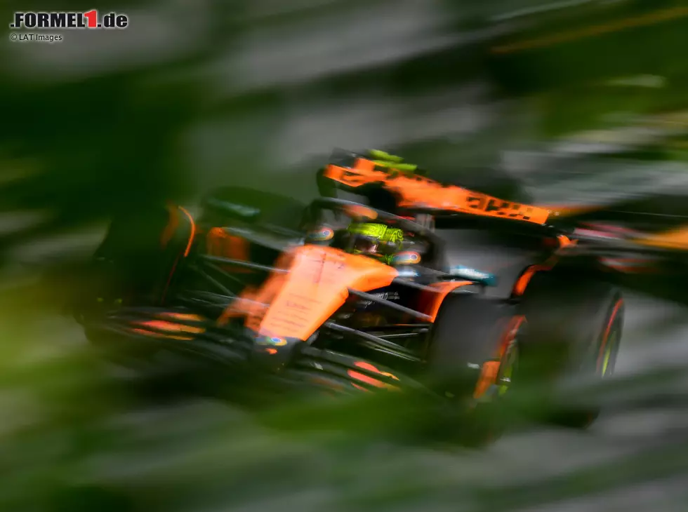 Foto zur News: Lando Norris