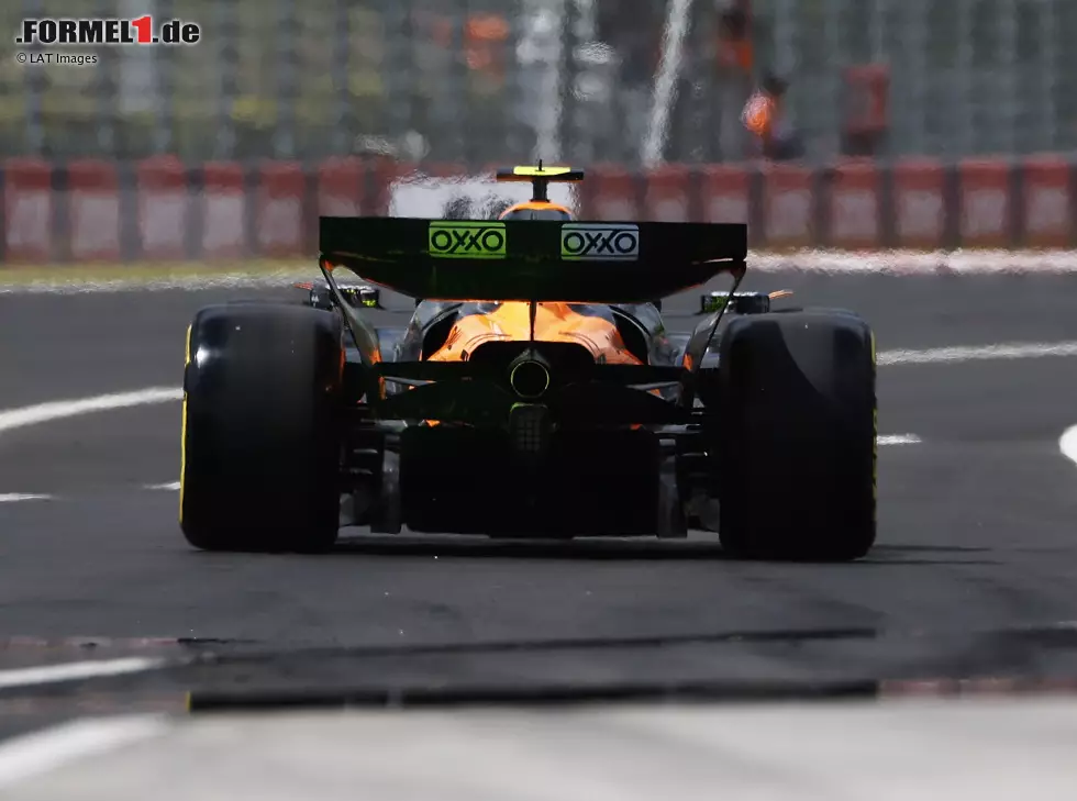 Foto zur News: Lando Norris