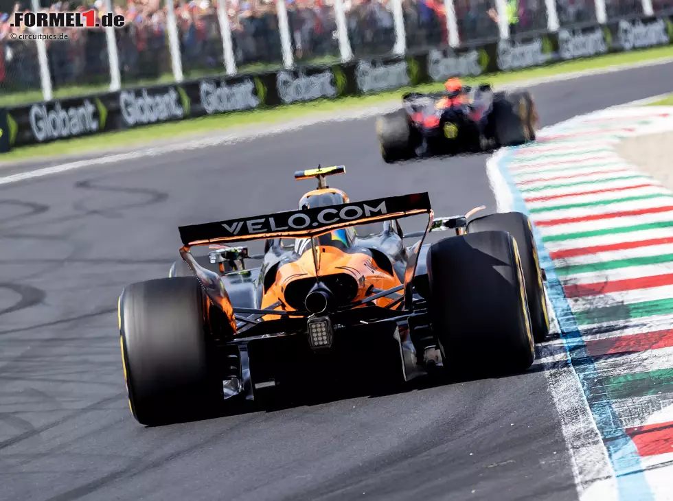 Foto zur News: Lando Norris