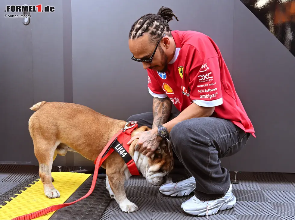 Foto zur News: Beim England-GP in Silverstone war Roscoe noch an der Seite von Lewis Hamilton