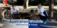 Foto zur Video: Sauber erobert Australiens Tierwelt