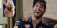 Foto zur Video: Daniel Ricciardo: Fans stellen die Fragen