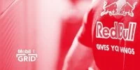 Foto zur Video: Das Toro-Rosso-Konzept
