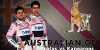 Foto zur Video: Perez &amp; Ocon über Australien: Koala oder Känguru?