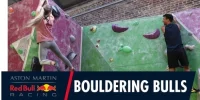 Foto zur Video: Red Bull: Ricciardo soll hoch hinaus