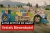 Foto zur Video: Sebastian Vettel: So sieht &amp;quot;sein&amp;quot; Bienenhotel aus!