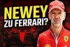 Foto zur Video: Newey weg! Zerfällt nun Red Bull?