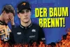 Foto zur Video: Trotz Austin-Schlappe: Warum McLaren das schnellste Auto...